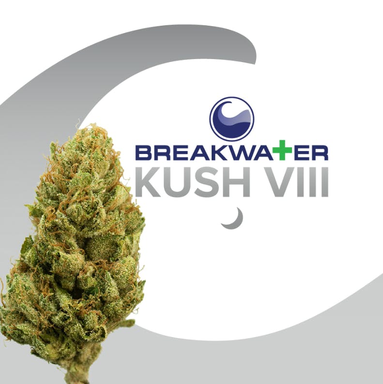 BREAKWATER | KUSH VIII | 3.5G FLOWER