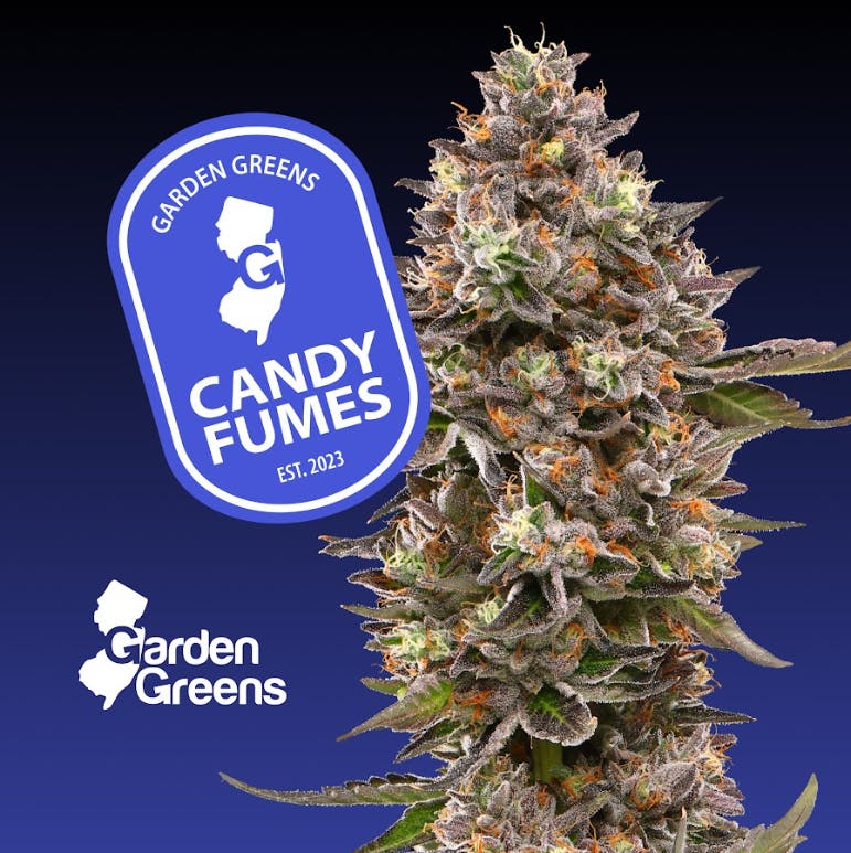 GARDEN GREENS | CANDY FUMEZ | 7G BIG BUD FLOWER