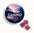 Camino - Wild Berry "Chill" - Gummies - 20pk - 100mg - 10mg