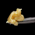 Jaunty - Honey Burst "Live Rosin" Badder - Concentrate - 1g - 1g