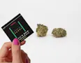 House of Sacci - Devil's Drip "Dimes" - Flower - .7g - 0.7g