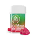 Wana - Strawberry Margarita "Hybrid" - Gummies - 10pk - 98mg THC : 105mg CBD - 100mg