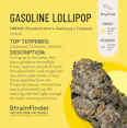 The Botanist - Gasoline Lollipop - Flowers - 3.5g - 3.5g