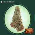Grassroots - Triple Stack - Flower - 14g - 14g