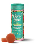 Good Tide - Kiwi Strawberry "Refreshing" Hydrid - Gummies - 10pk - THC : CBD : CBG 100mg - 100mg