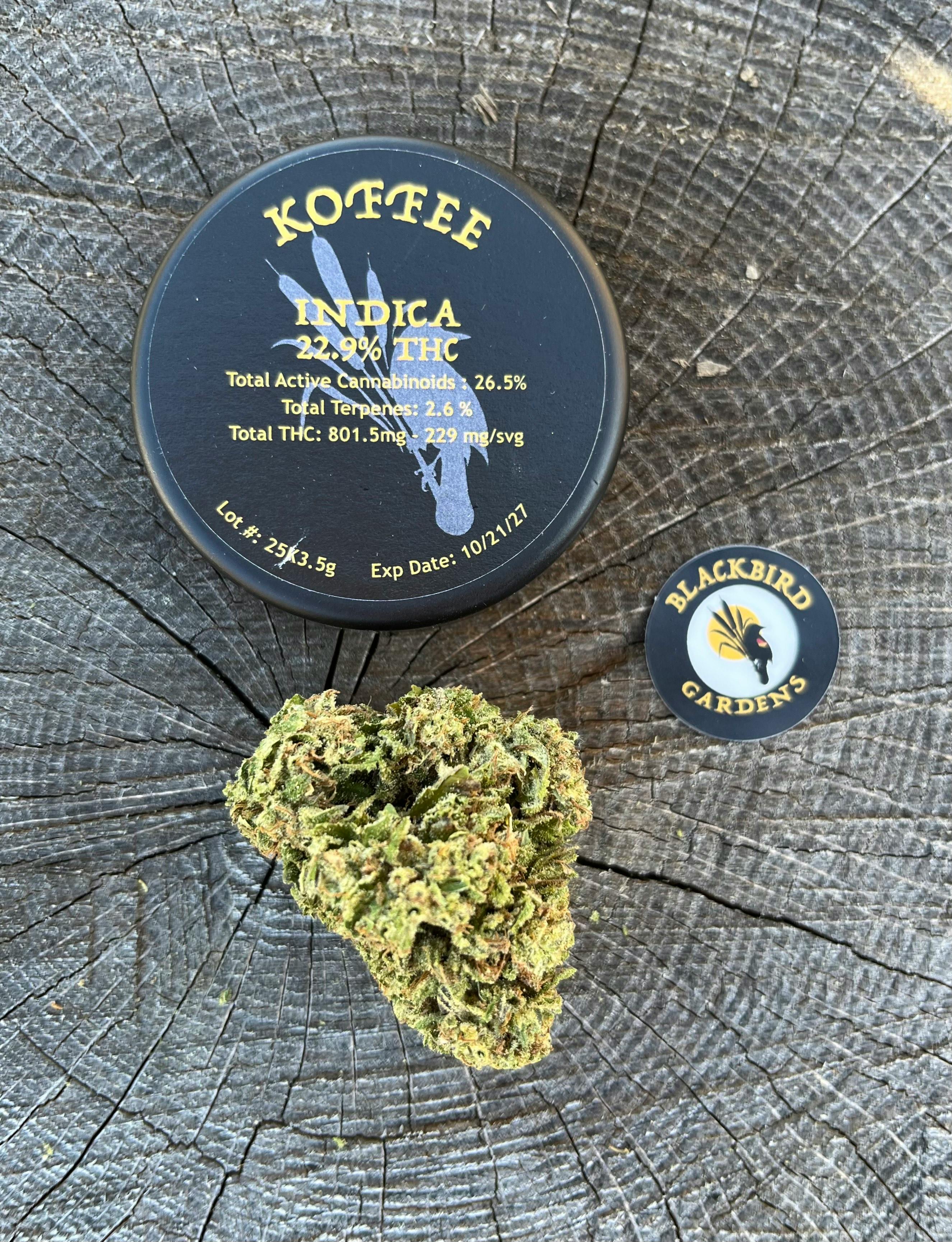 Blackbird Gardens | Koffee | Flower | Indica | 3.5g