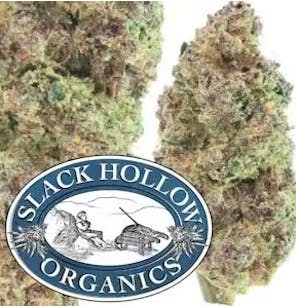 Slack Hollow | Blueberry Cupcake | Flower | IndHyb | 3.5g