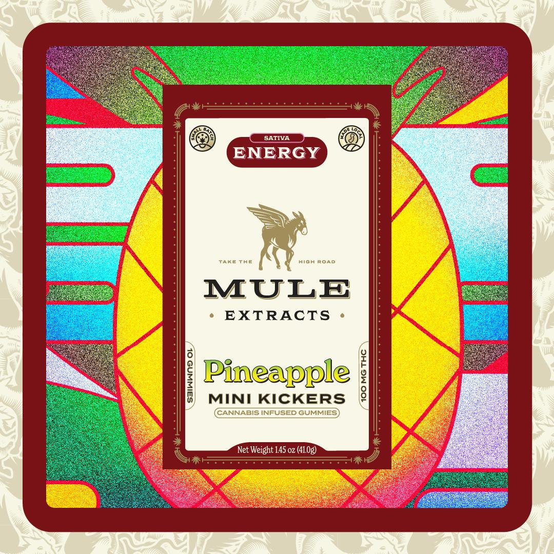 Mini Kickers | Pineapple (S) | 100mg