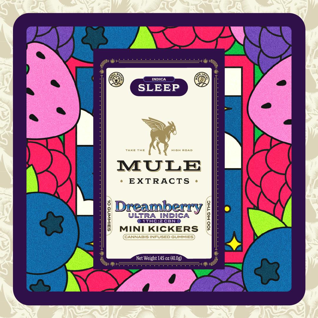 Mini Kickers | Dreamberry (I) 1:2 THC:CBN | 100mg