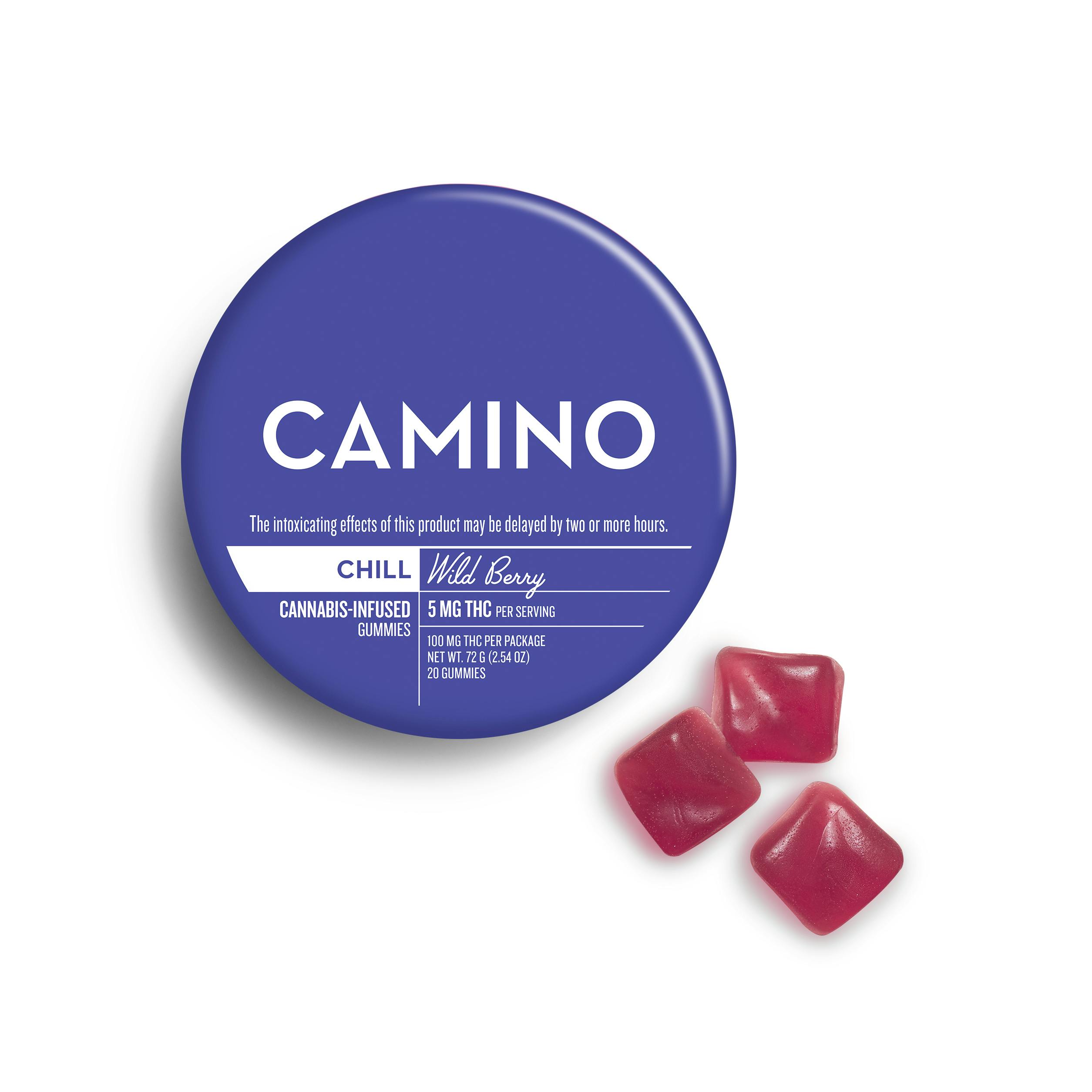 Camino | Chill: Wild Berry (I) | 100mg/20pk