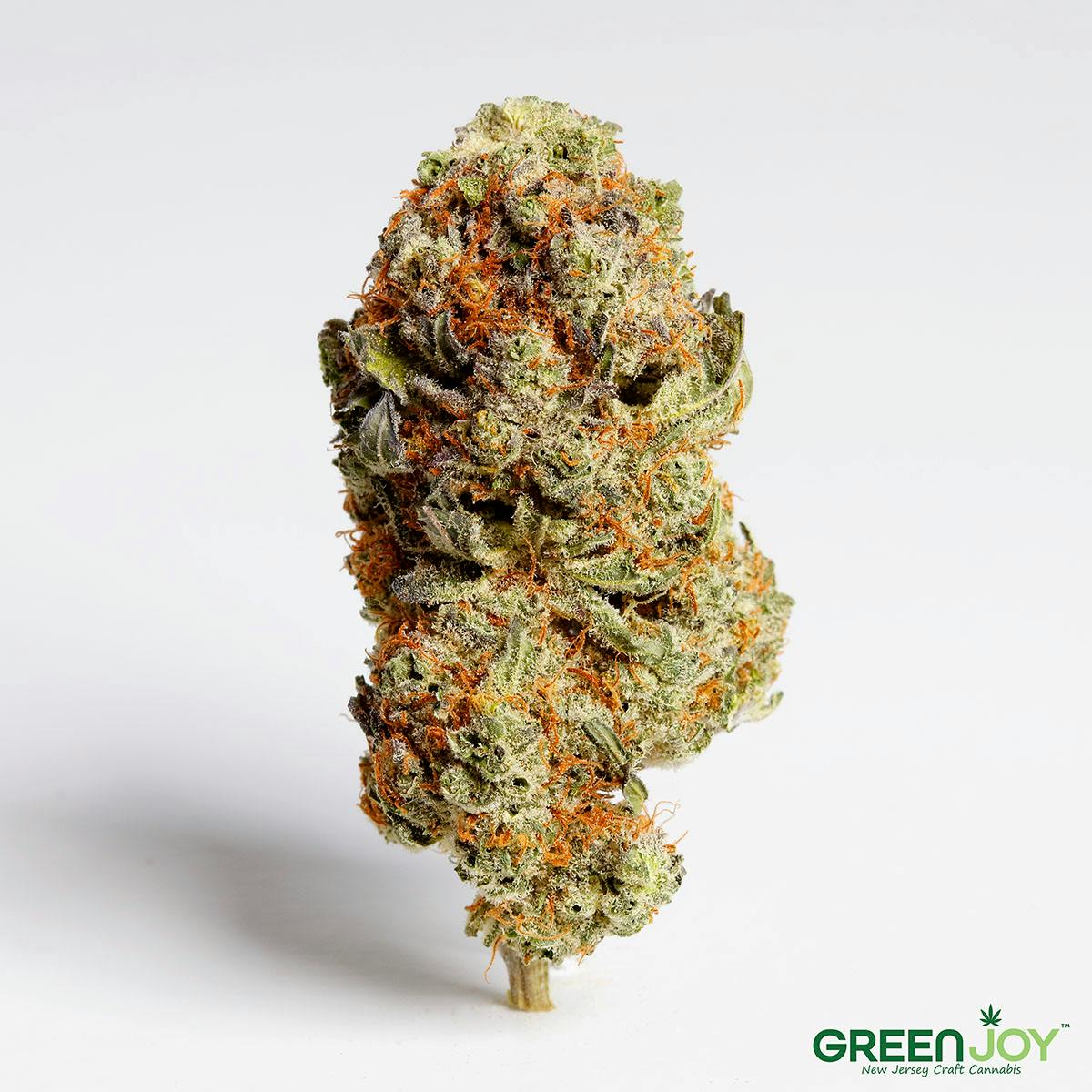 Hight | Cheddar Cheeze (I) | 7.0g