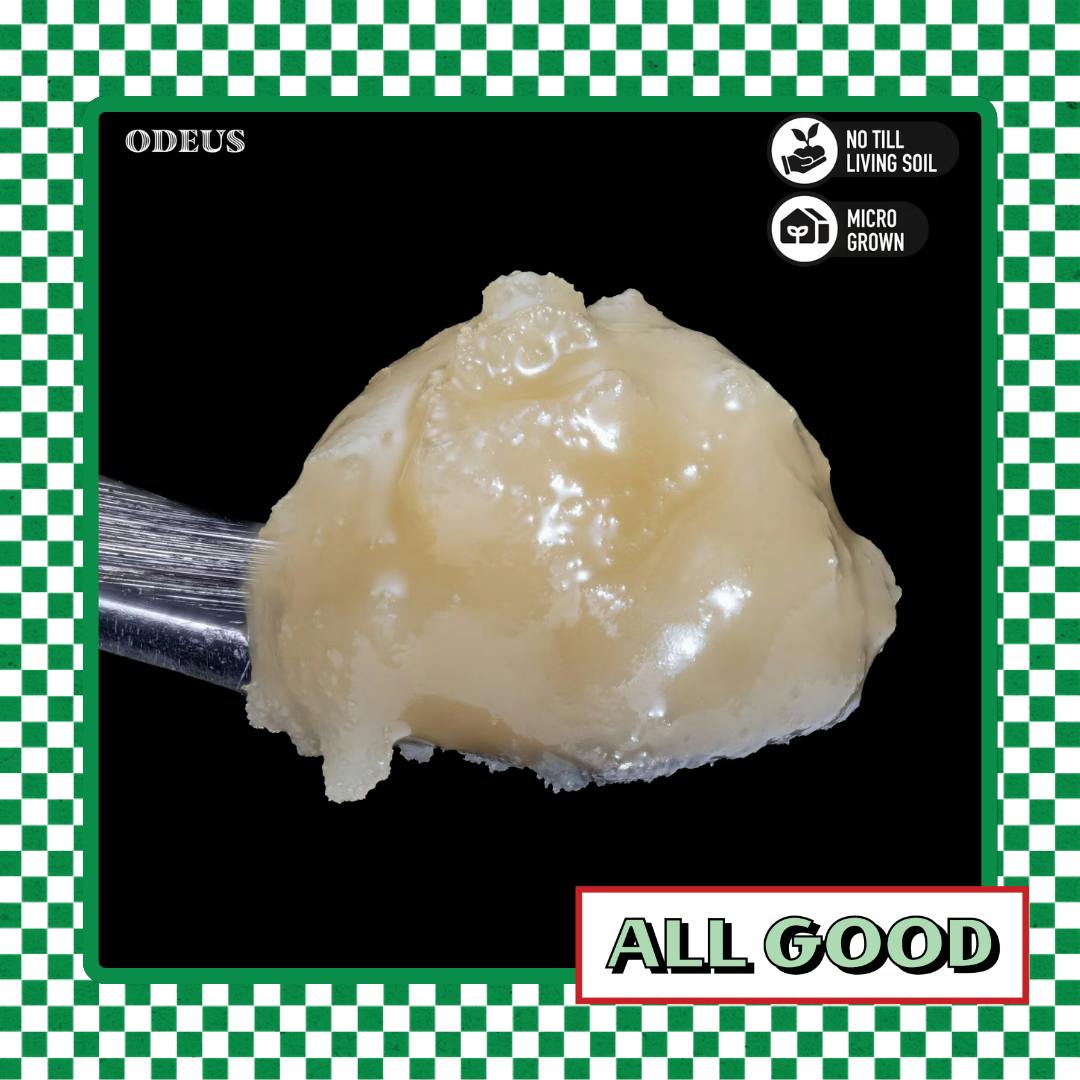 Royal Genetics | Odeus Maximus | Live Rosin | Indica Hybrid | 1g