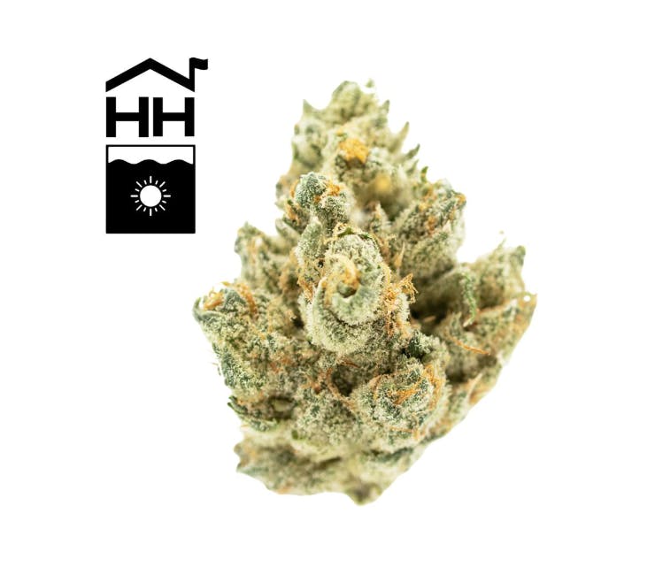 6b381edfe18af4c6 Product Images 5096bbf1 8fd3 4237 8ef8 E82c6577c769 E3c05adf C911 4ea5 A5ae A732fc7e56df Original