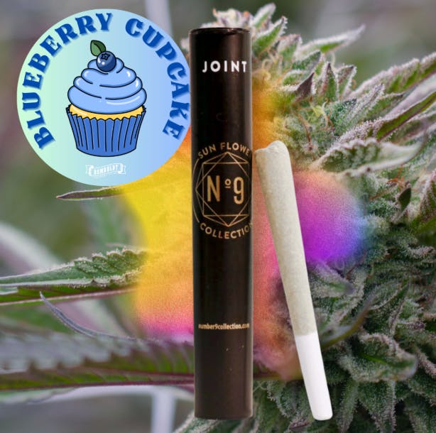 6b381edfe18af4c6 Product Images C61e2c2b 56b2 4b89 A6ce 60fabab533dc 75bffac0 Fc05 4597 B264 46c44092ff2a Original