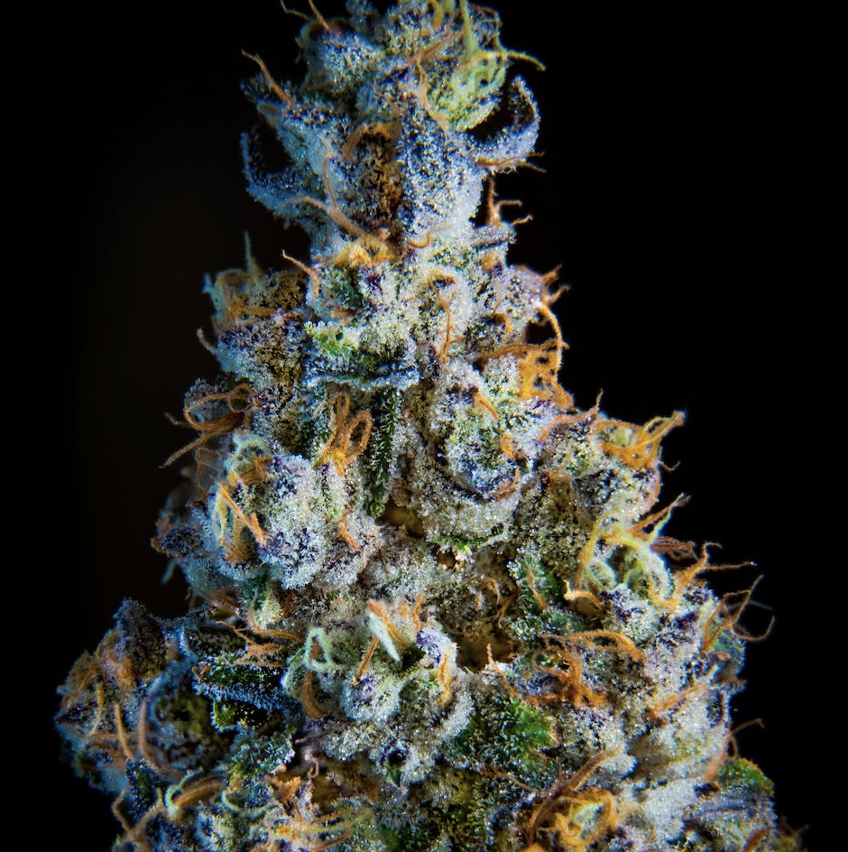 6b381edfe18af4c6 Product Images Cbfba38c 2a83 4725 83df 209f34f5b159 B9aa2438 64cc 450d A80d E65177a936fc Original