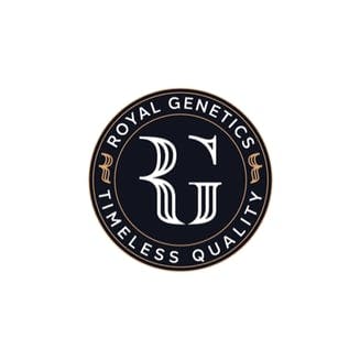 Royal Genetics | Lemon Tree | Pre-roll | Hybrid | 1g