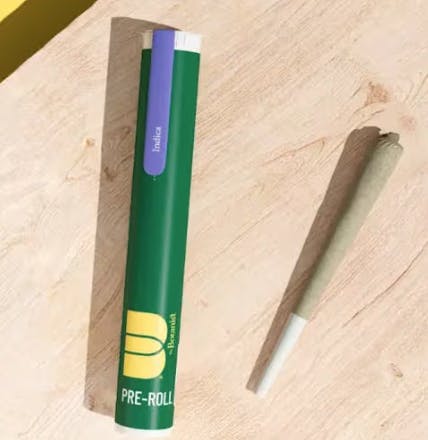 CHOCOLATE CHERRY OG | 1G | SINGLE PREROLL