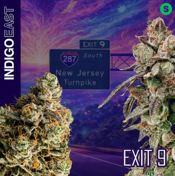 Exit 9 | 3.5g Flower