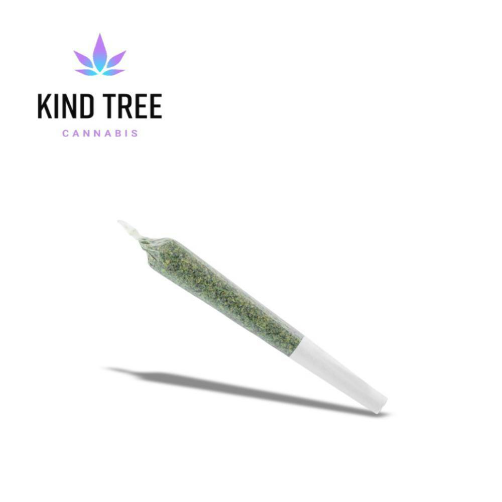 CHERRY SLUSHEE | 2PK -