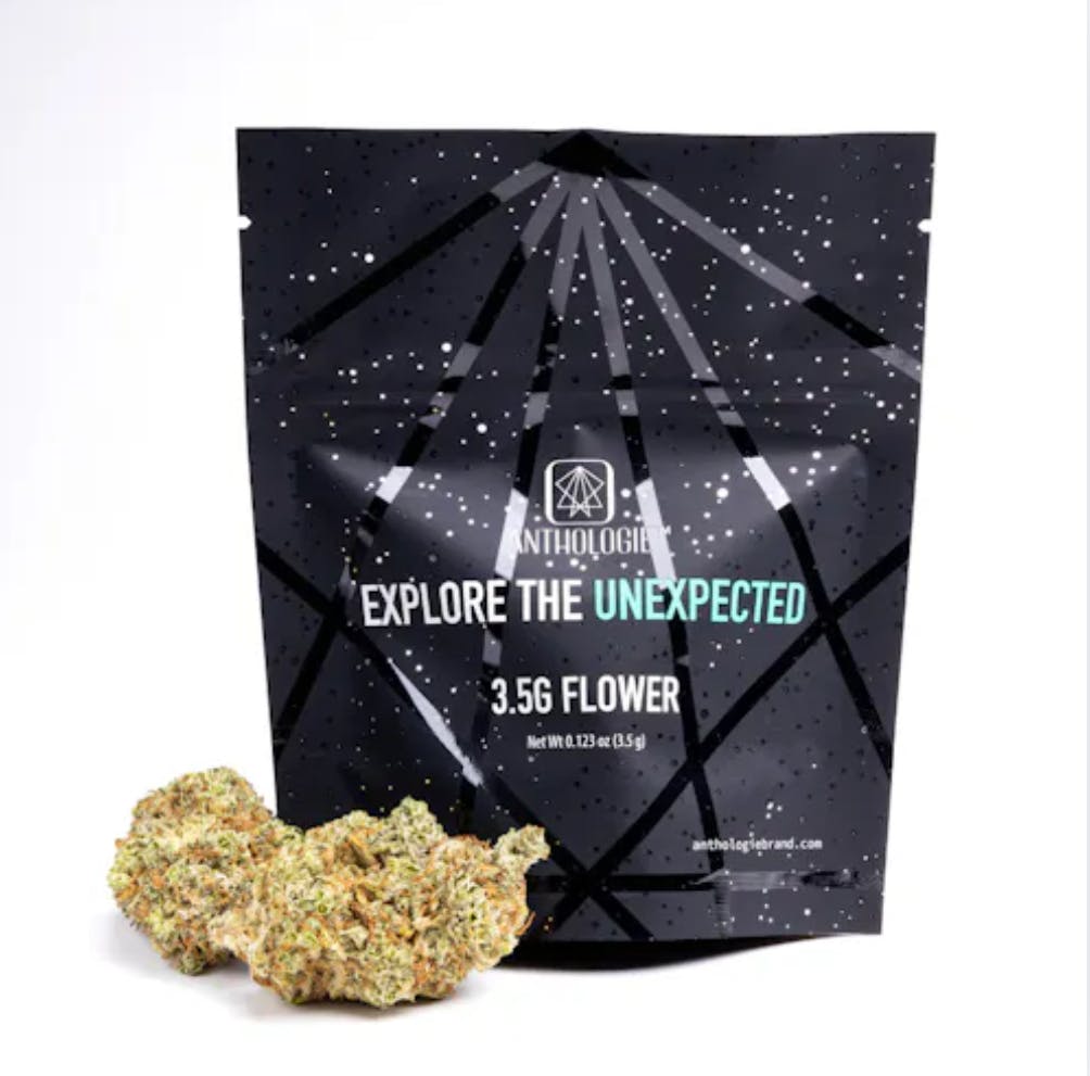 PURPLE MILK FLOWER  | 3.