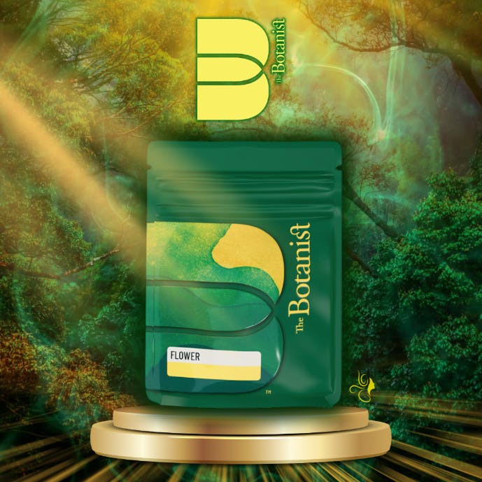 VIOLET FOG | 3. | FLOWER