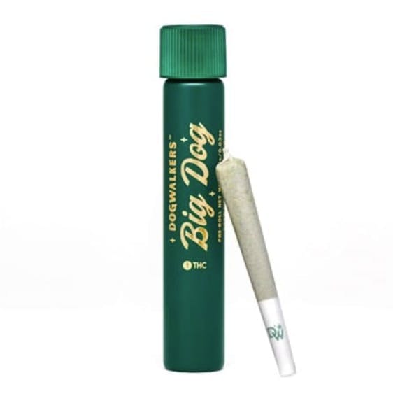 SUNSET SHERBERT | SINGLE