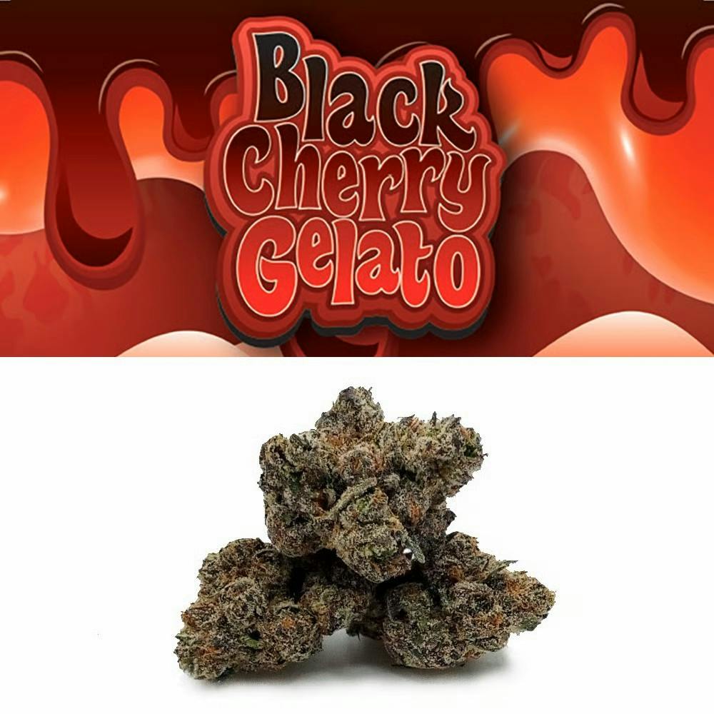 BLACK CHERRY GELATO | 3.5G FLOWER