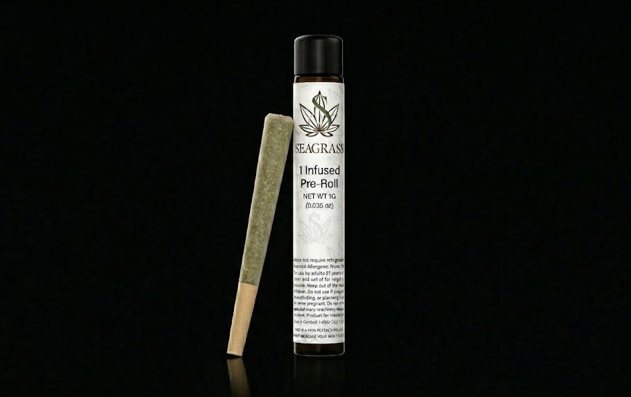 Sour Cheese Berry | 1G INFUSED PREROLL