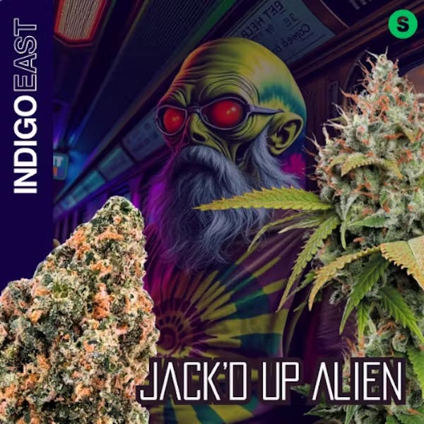 Jack'D Up Alien | 3.5 G Flower