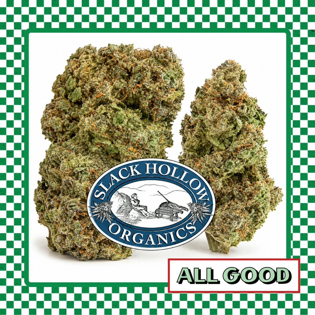 Slack Hollow | Blueberry Cupcake | Flower | IndHyb | 3.5g