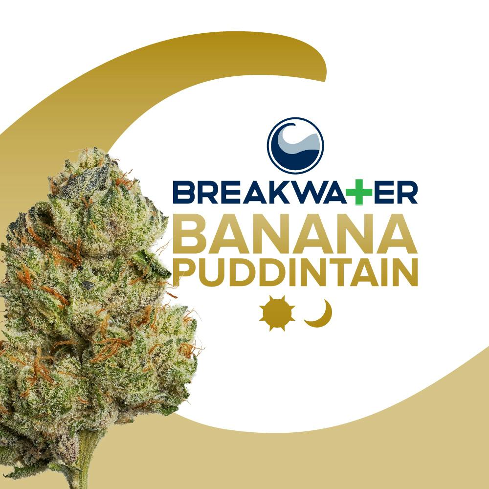Banana Puddintain | 1/8 oz