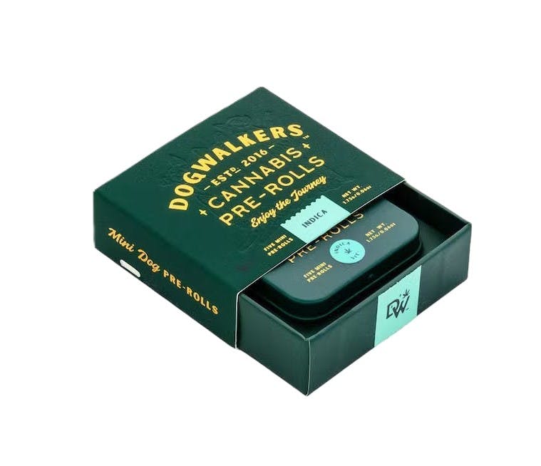 Brownie Scout Pre-Rolls | 5 pack