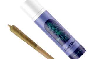 Blue Lemonade Pre-Rolls | 2 pack