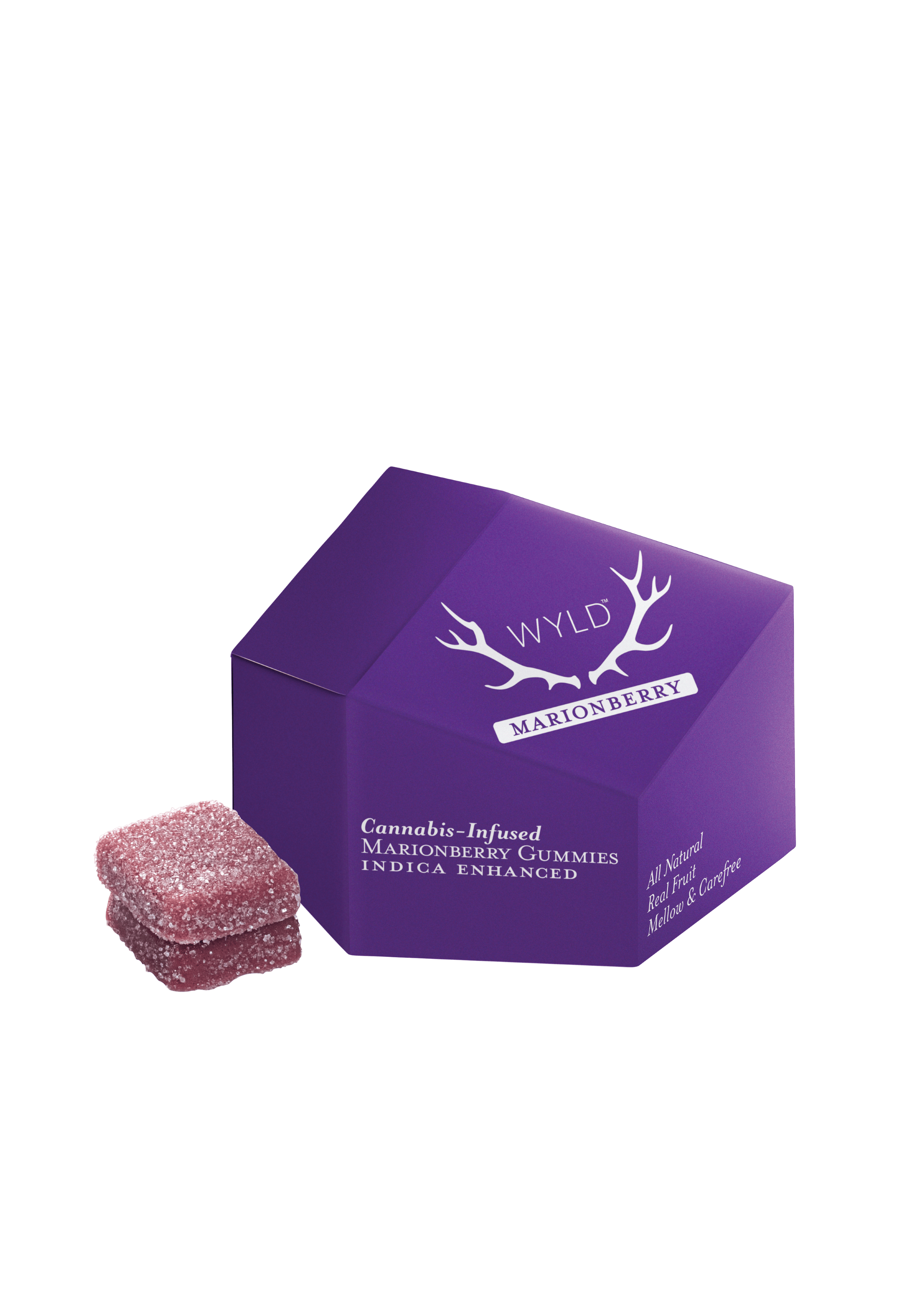 Marionberry | 10 pack