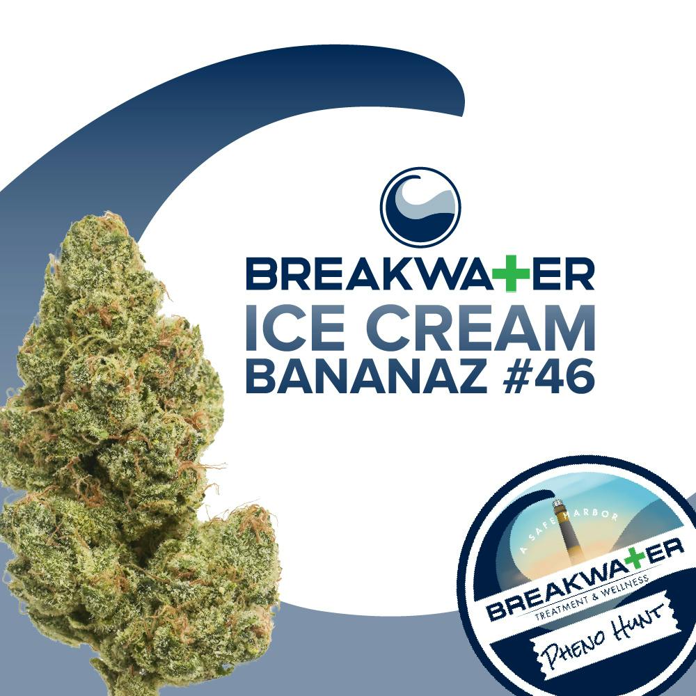 Ice Cream Bananaz #46 | 1/8 oz