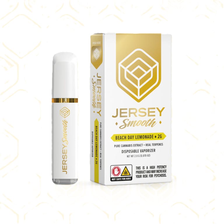 Beach Day Lemonade [Disposable] | 2000mg