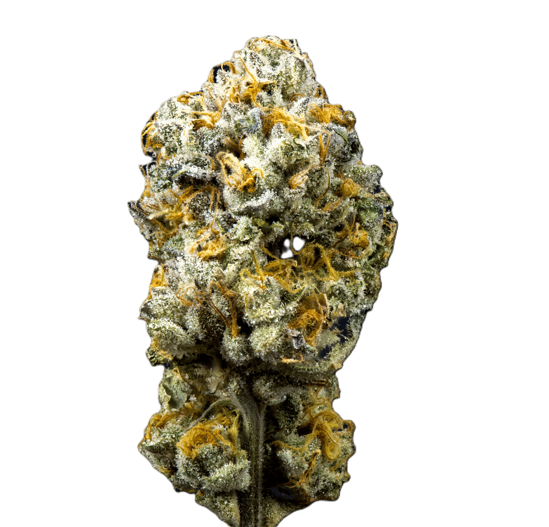 Gary Payton | 1/8 oz