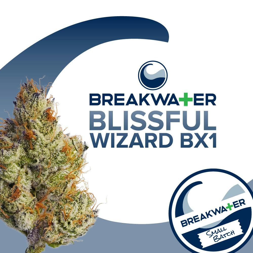 Blissful Wizard Bx1 | 1/8 oz