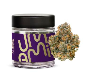 Umamii | Gary Payton | Flower | Hybrid | 3.5g