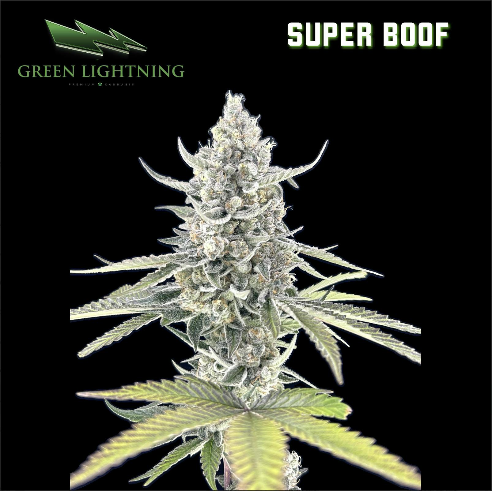 GL | Super Boof | 3.