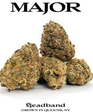 Major | Headband | Flower | Hybrid | 3.5g