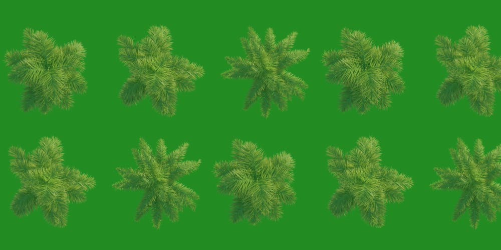 Green Wednesday : 30% Off Storewide