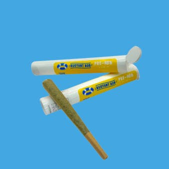 Buy BOB'S HOUSE SALAD | PRE-ROLL | 1G - 1g | Jersey City