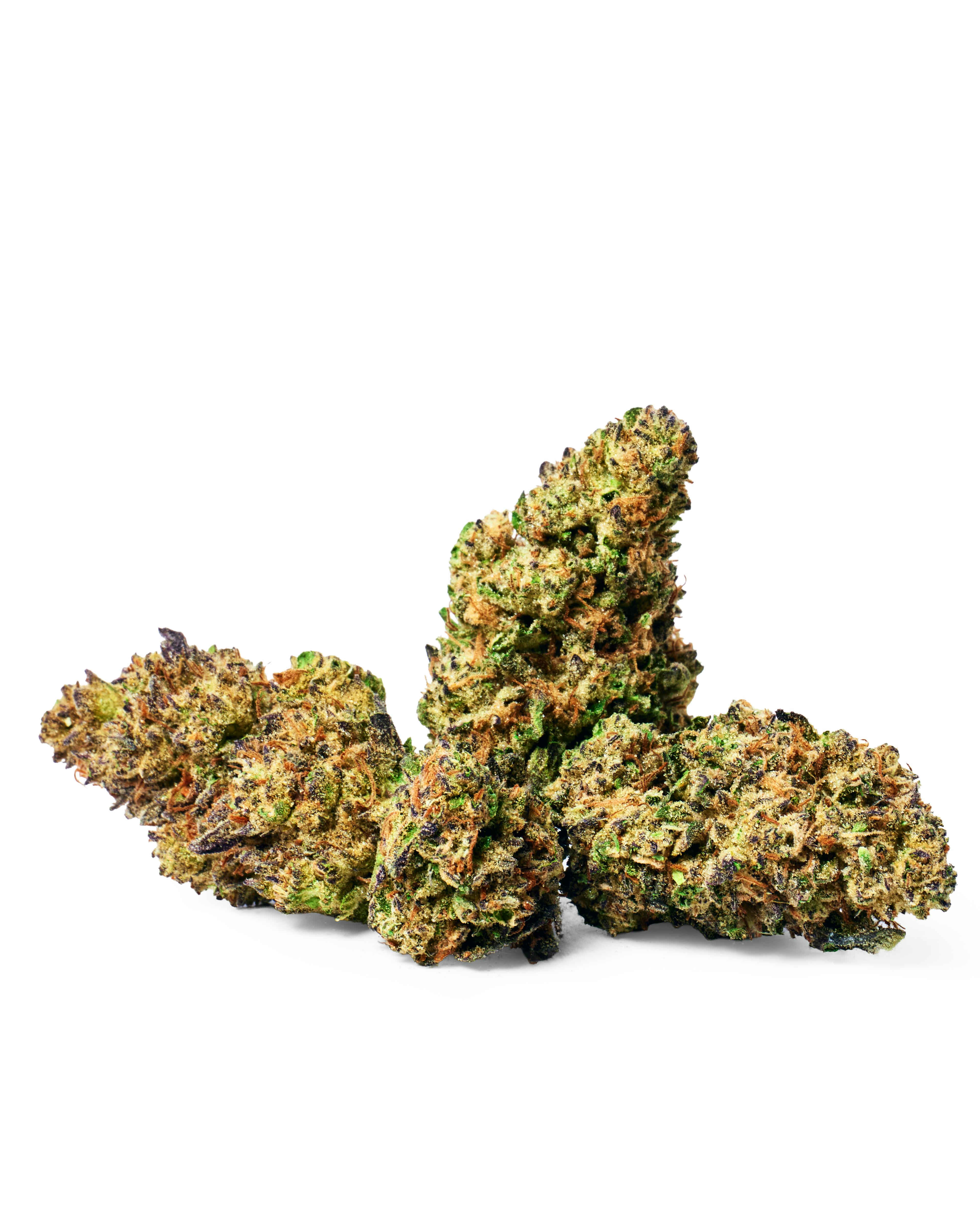 Dada Daily | Govt Oasis | Flower | Hybrid | 7g