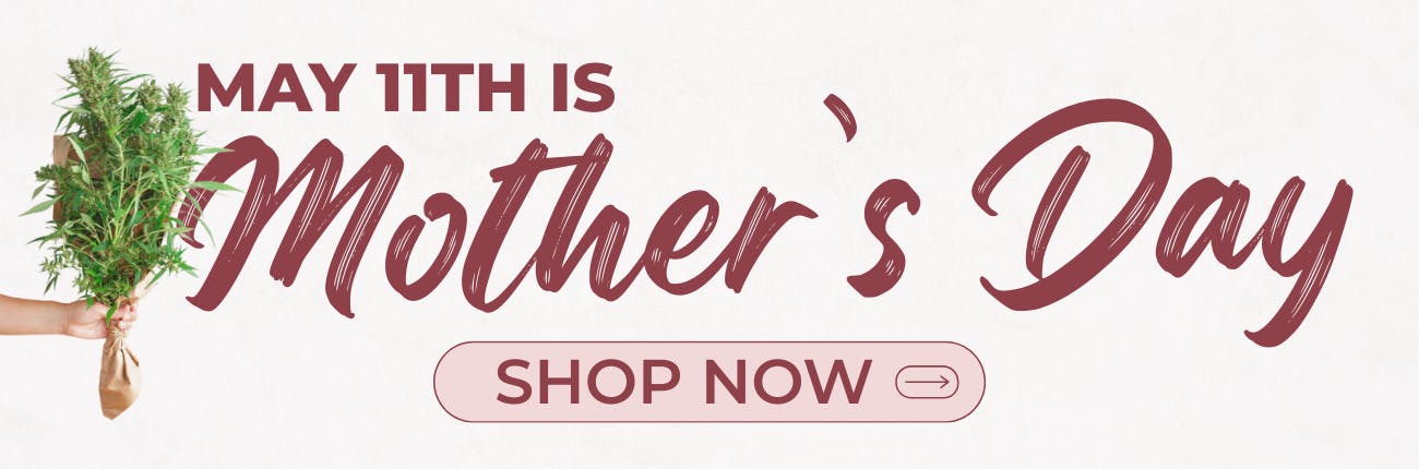 Mother's Day Gift Guide