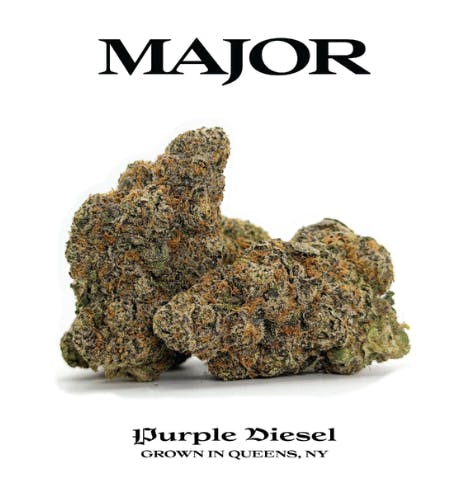 Major | Purple Diesel | Flower | SatHyb | 3.5g