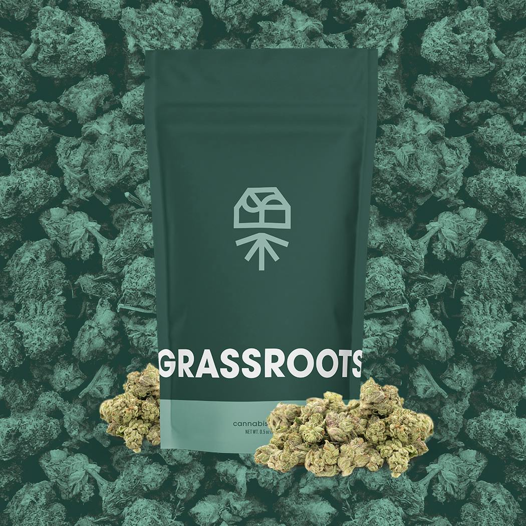 クリスマス特価ロックしようぜ！byESP GrassRoots LunaSea クリスマス