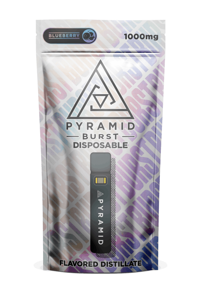 BURST 1000MG DISPOSABLE BLUEBERRY | ALL IN ONE