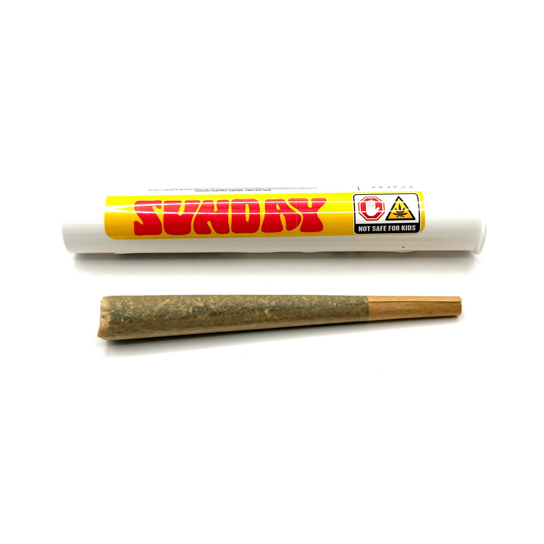 SECRET MEETINGS 1PK/1G