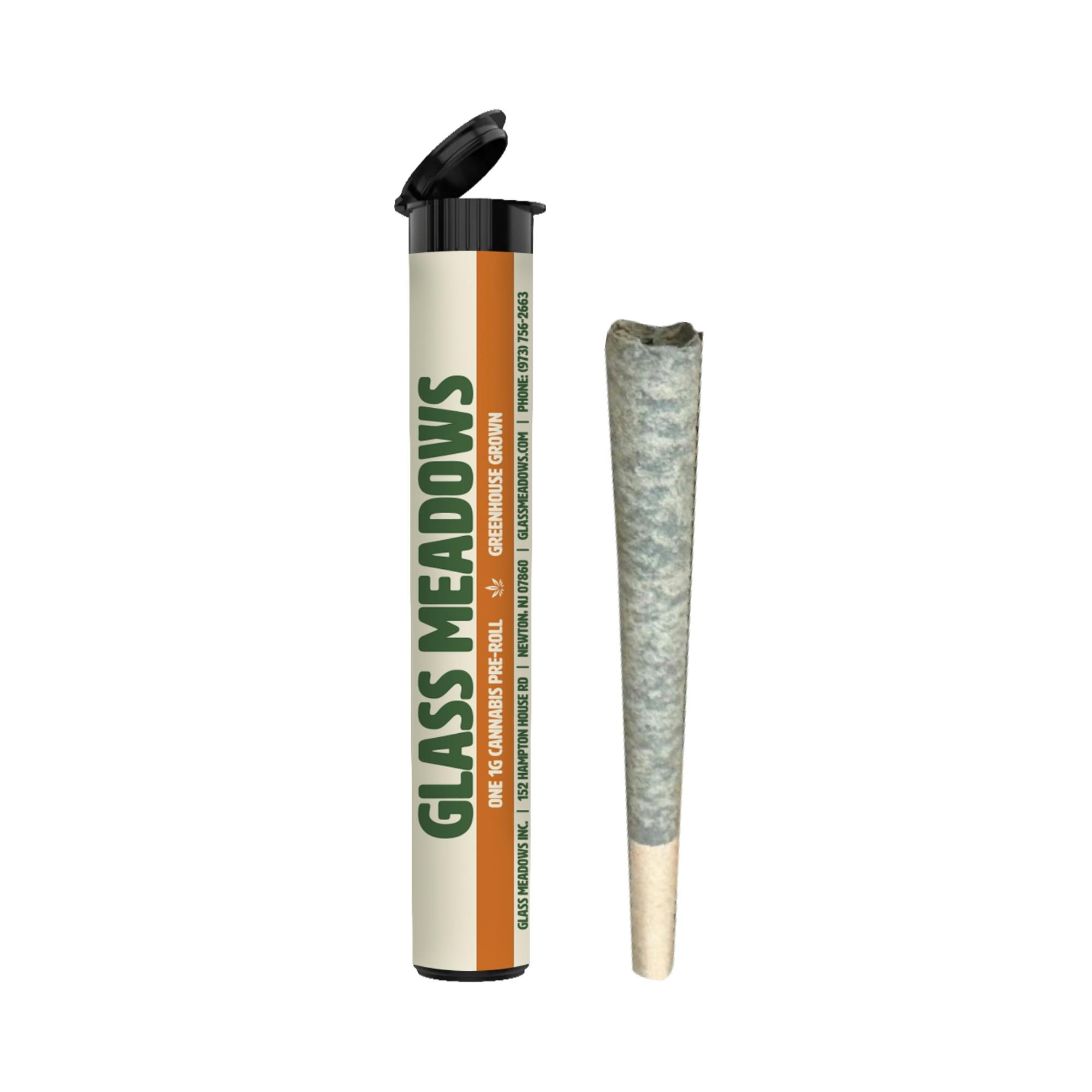 MINT GRANITA PRE-ROLL 1G